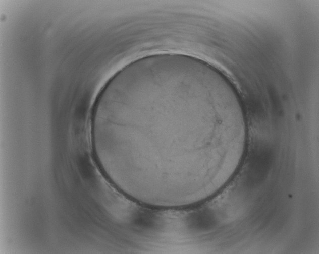 X0000075861514200609221742