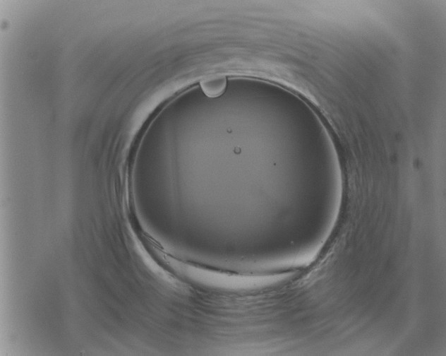 X0000075861515200609221742