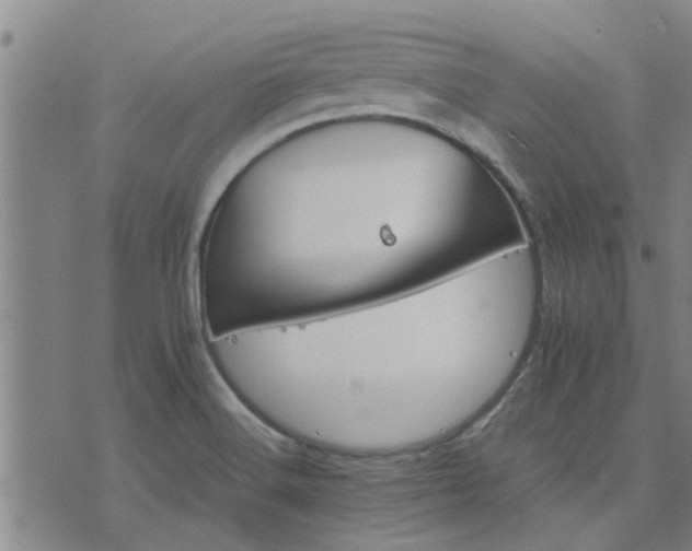 X0000075861516200609221742