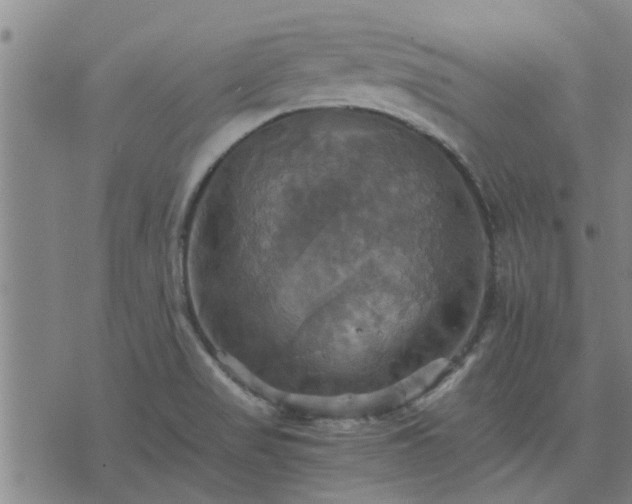 X0000075861517200609221743