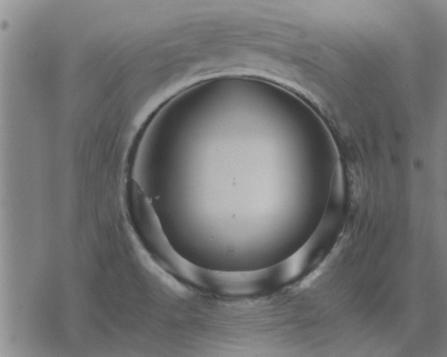 X0000075861518200609221743