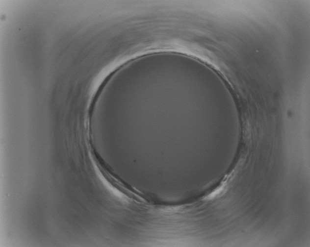 X0000075861519200609221743