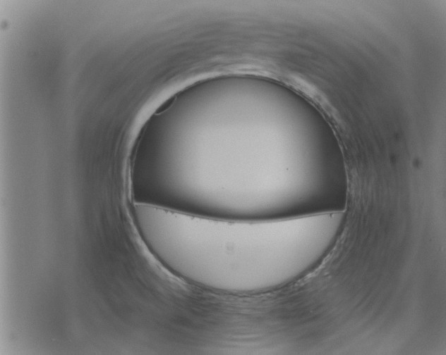 X0000075861520200609221743