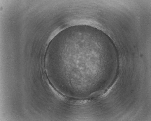 X0000075861521200609221743