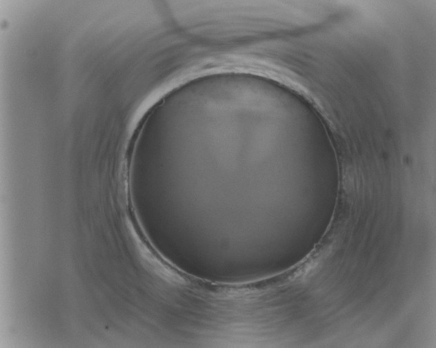 X0000075861522200609221743