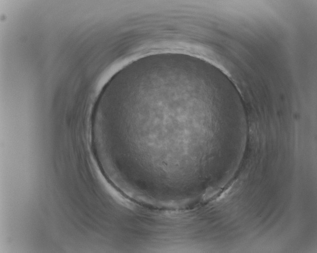 X0000075861523200609221743