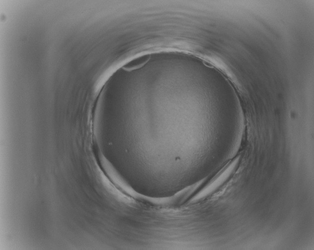 X0000075861524200609221743