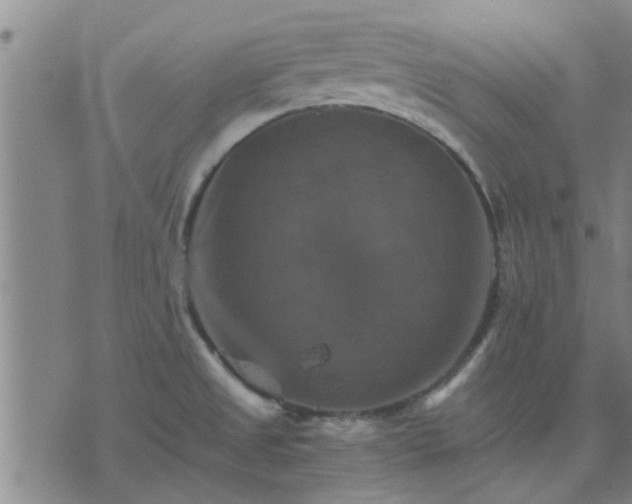 X0000075861525200609221743