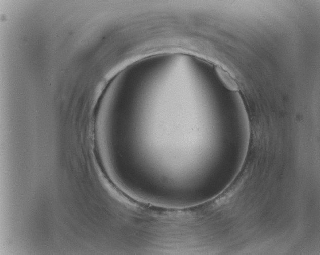 X0000075861526200609221743