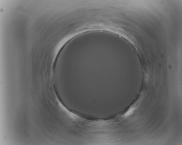 X0000075861527200609221743