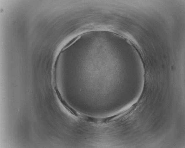 X0000075861528200609221743