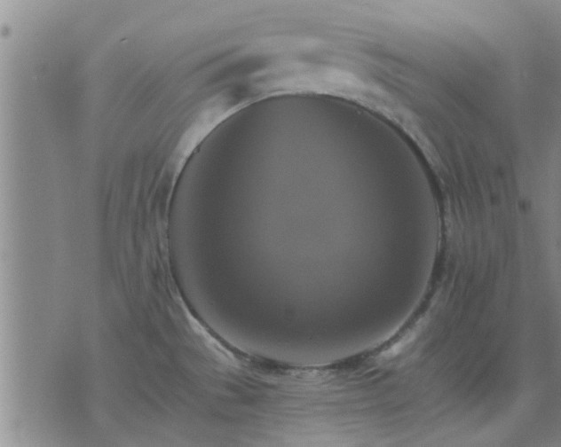 X0000075861529200609221743