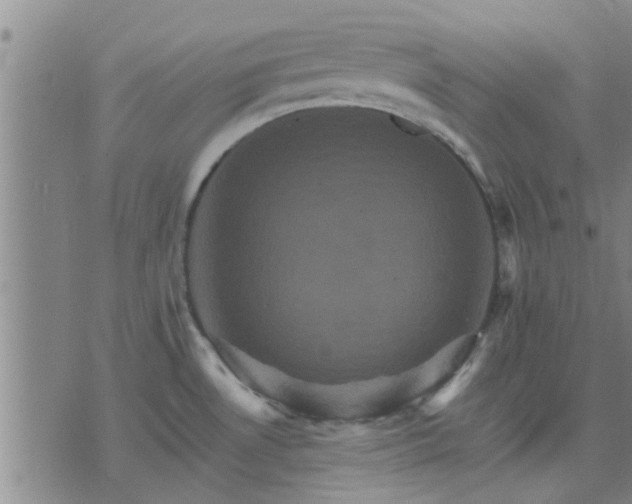 X0000075861530200609221743