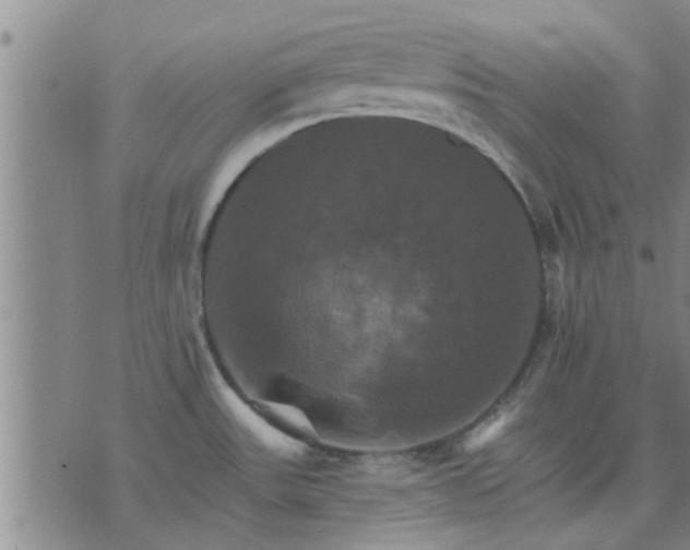 X0000075861531200609221743