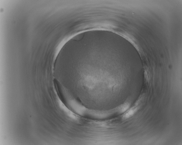 X0000075861532200609221743