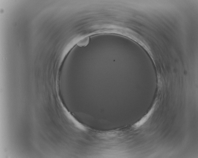 X0000075861533200609221743