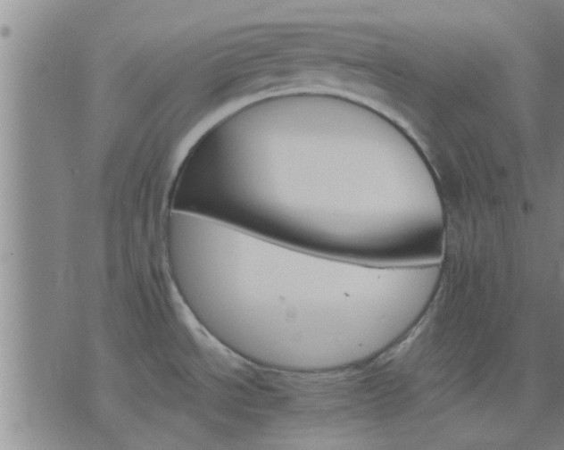 X0000075861534200609221743