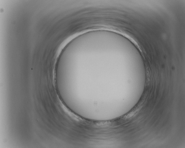 X0000075861535200609221743