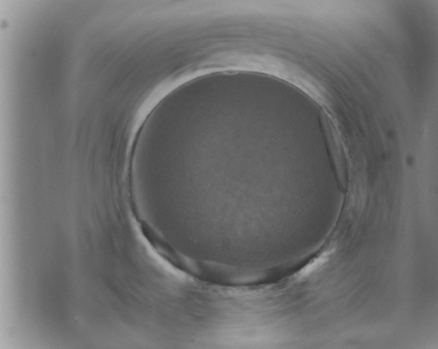 X0000075861536200609221743