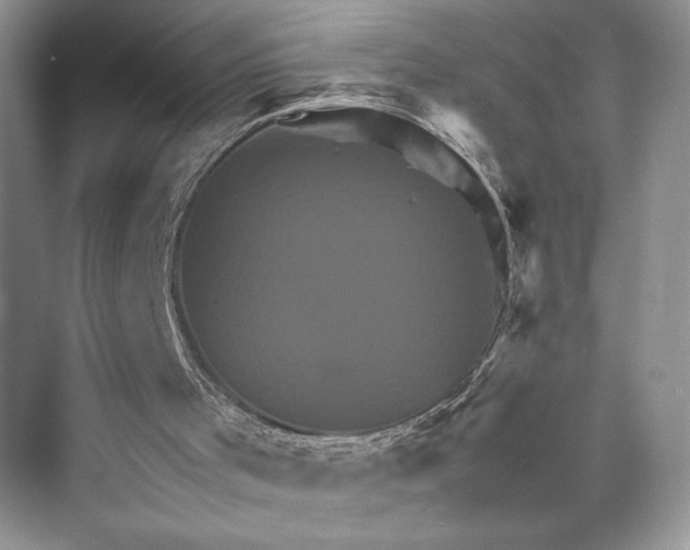 X0000075860001200609291600