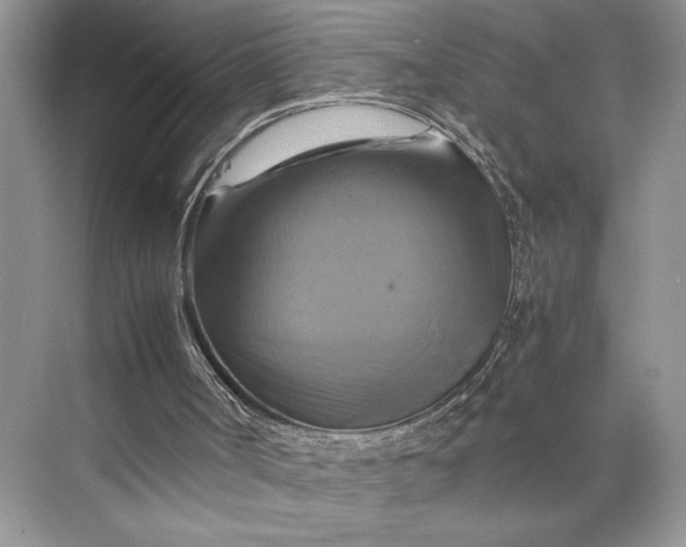 X0000075860002200609291600