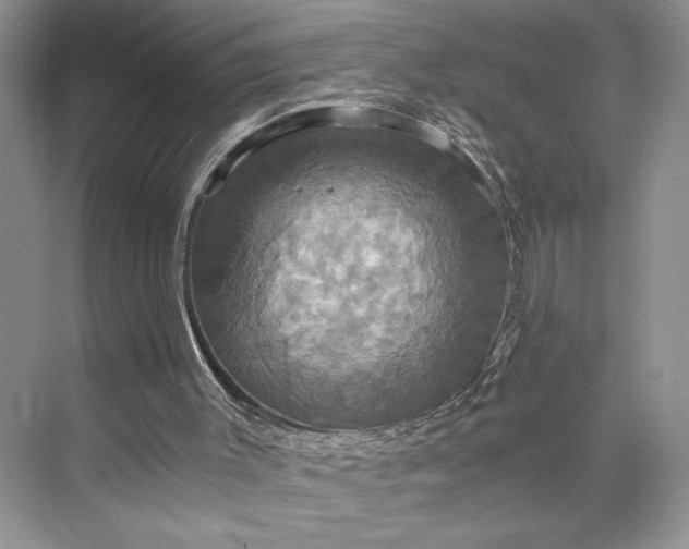 X0000075860003200609291600