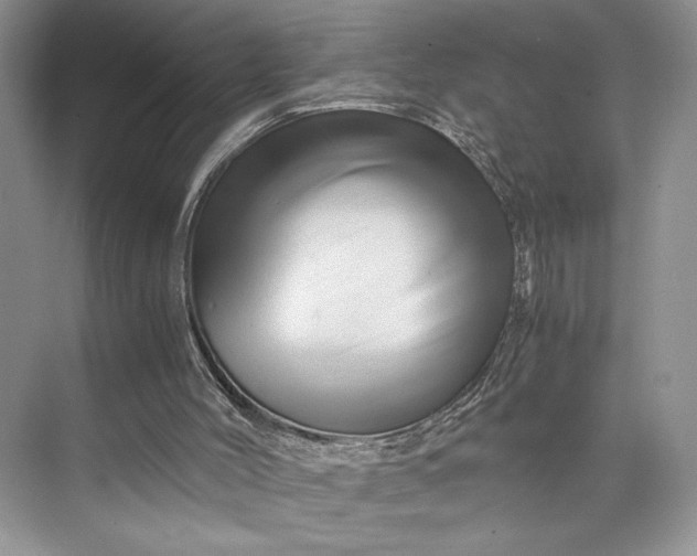 X0000075860004200609291600