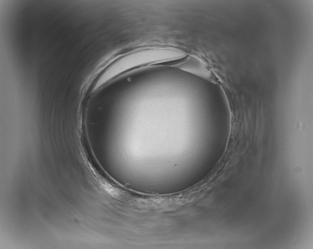 X0000075860005200609291600