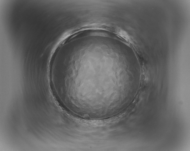 X0000075860006200609291600