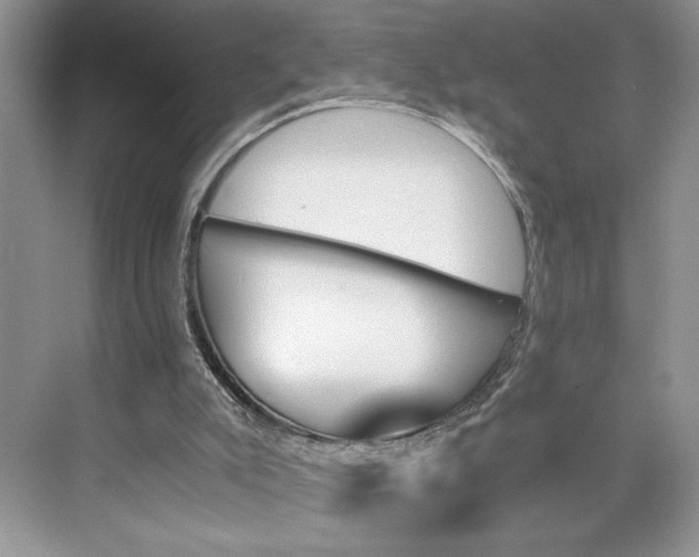 X0000075860007200609291600