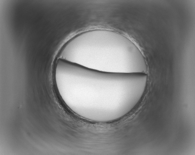 X0000075860008200609291600