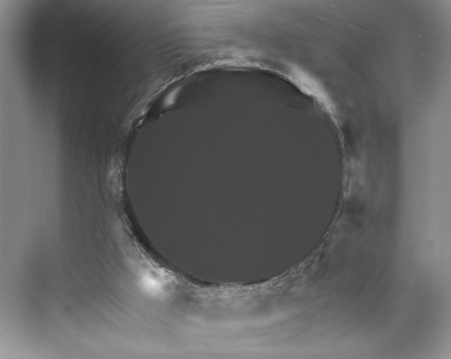 X0000075860009200609291600