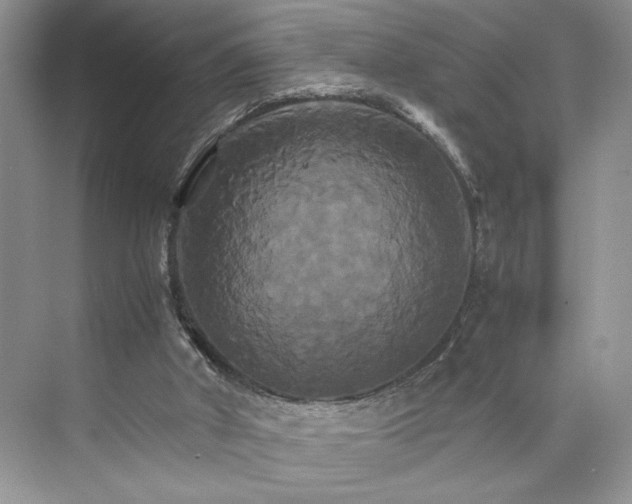 X0000075860010200609291600