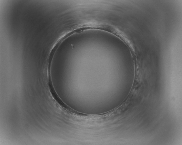 X0000075860011200609291600