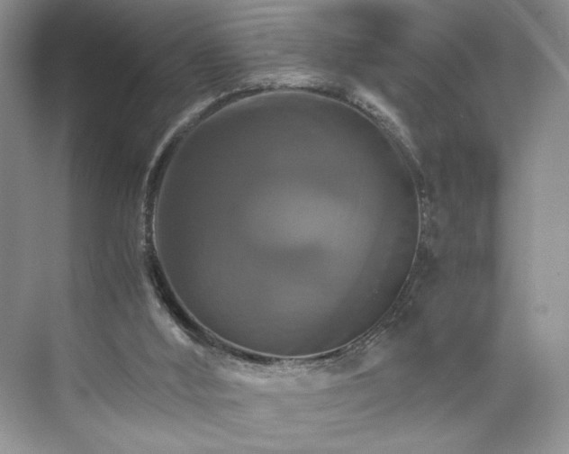 X0000075860012200609291600