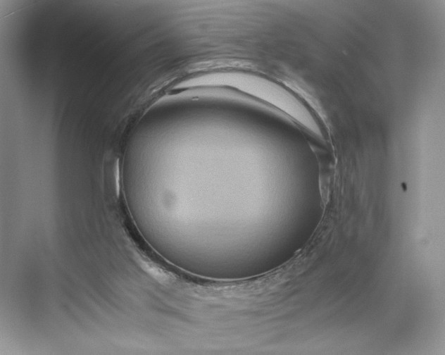 X0000075860013200609291600