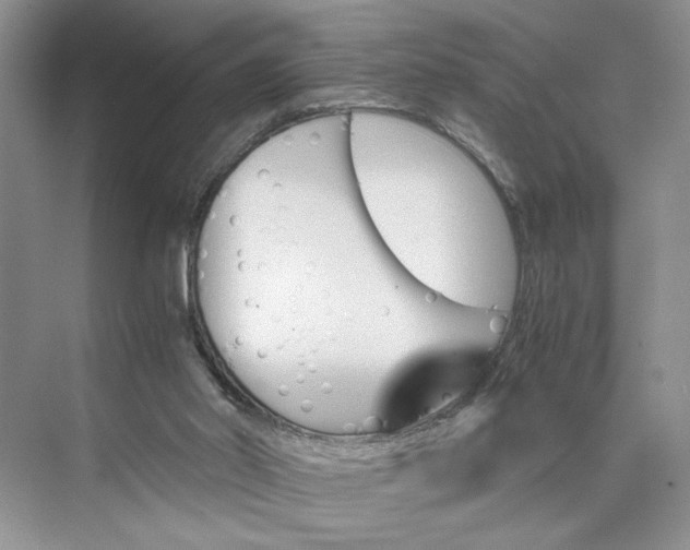 X0000075860014200609291600