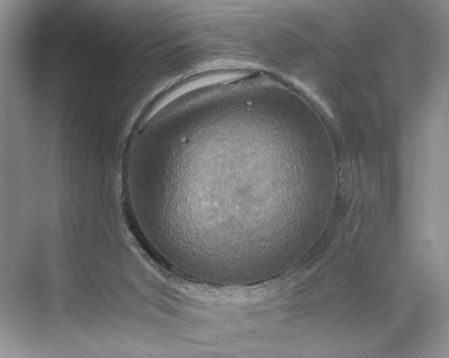 X0000075860015200609291600