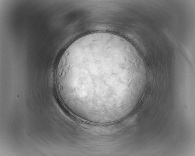 X0000075860016200609291600