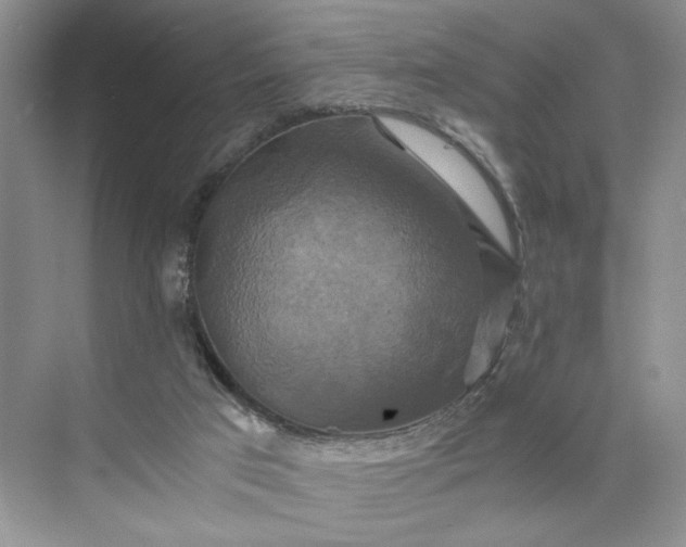 X0000075860017200609291600