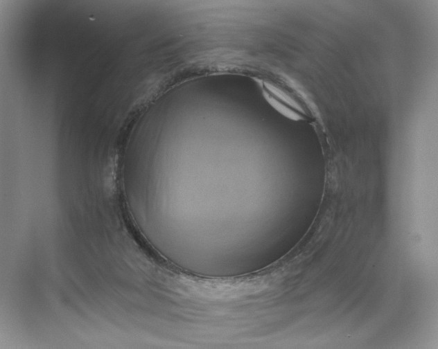 X0000075860018200609291559