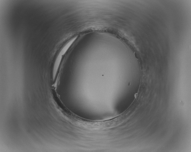 X0000075860019200609291559