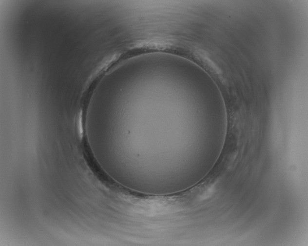 X0000075860020200609291559