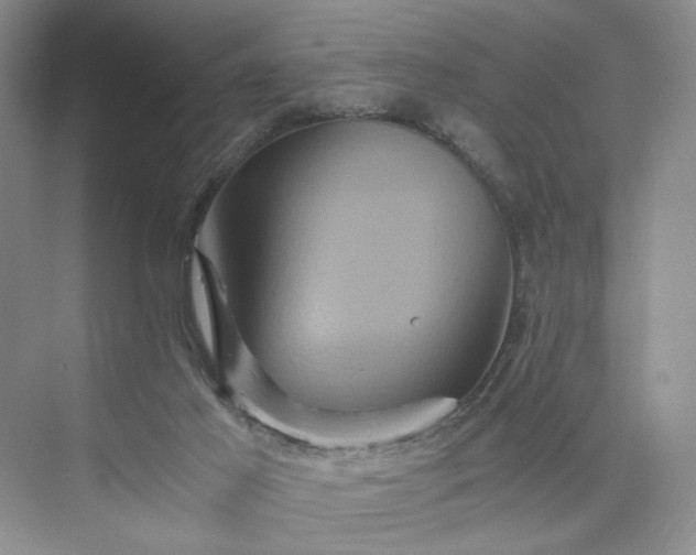 X0000075860021200609291559