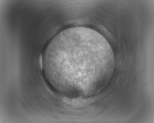 X0000075860022200609291559