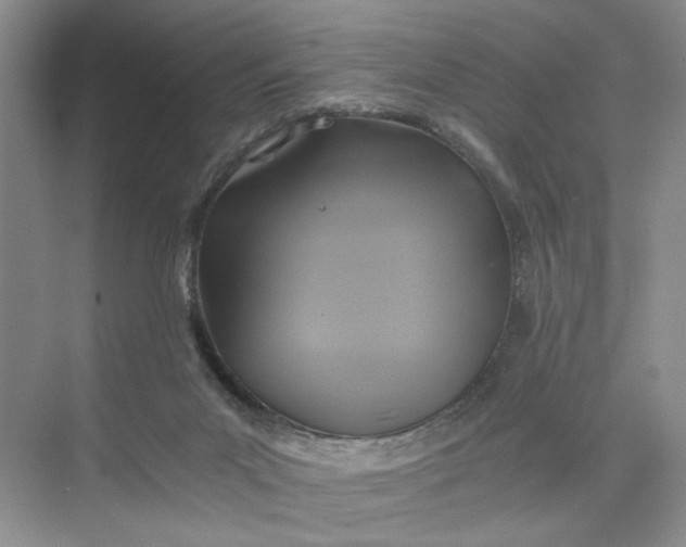 X0000075860023200609291559