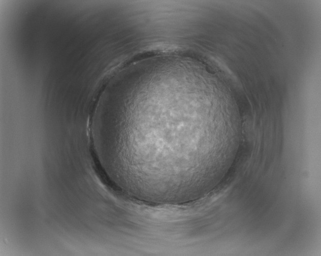 X0000075860024200609291559