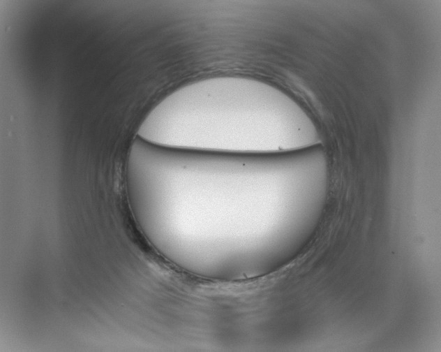 X0000075860025200609291559