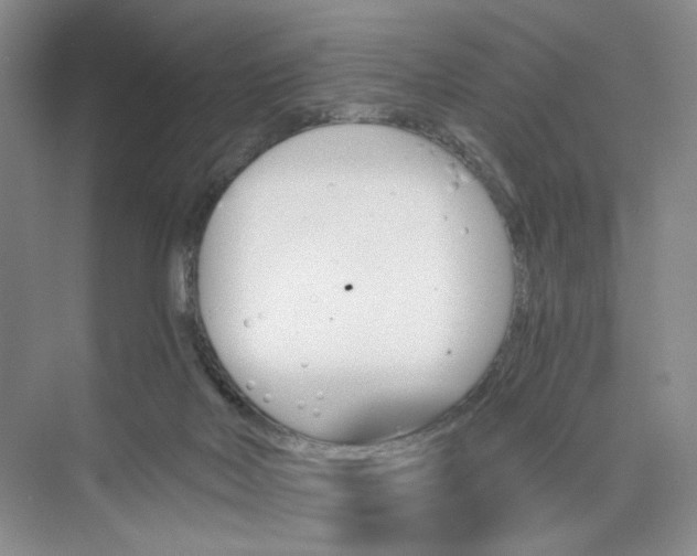 X0000075860026200609291559