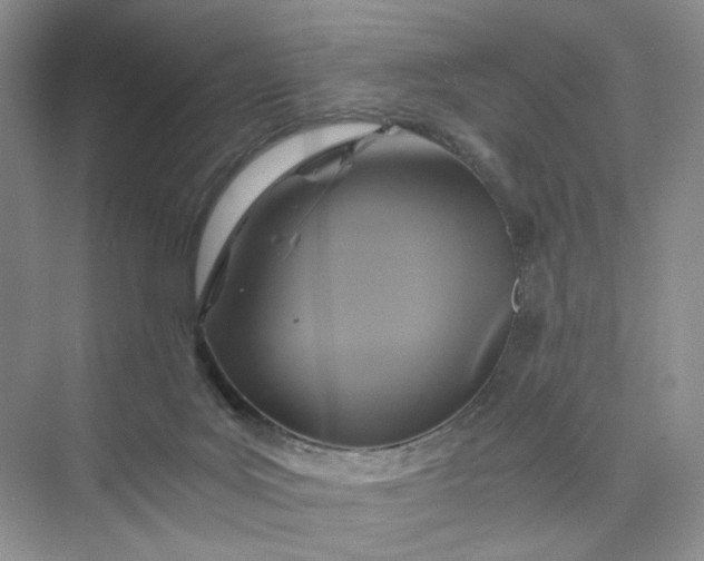 X0000075860027200609291559